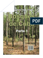 Bosques Parte 1