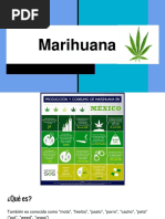 Marihuana