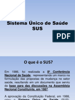 Aula 4 - 5 - 6 SUS