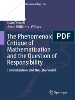 The Phenomenologic Critique of Mathematisation