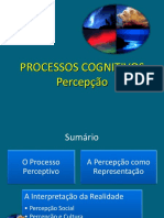 Processos Cognitivos A Percepcao