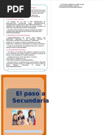 Folleto Paso Secundaria