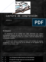 Comprensión Lectora