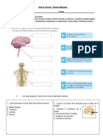 Guia Refuerzo Sistema Nervioso