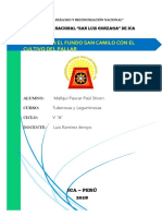 CULTIVO DE PALLAR (Autoguardado)