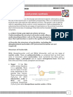 Nucleic Acid and Protein Synthesis 2017-18