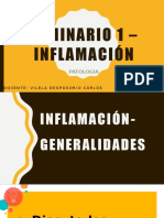 SEMINARIOINFLAMACIÓN