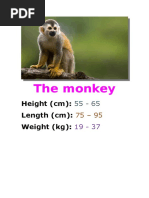 The Monkey: Height (CM) : Length (CM) : Weight (KG)