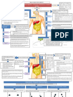 Mapa Conceptual Digestivo