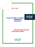 Investment Office ANRS: Project Profile On SMALL SCALE Pineapple Plantation