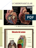 Super Corazon Biomedicas