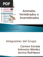 Animales Vertebrados e Invertebrados