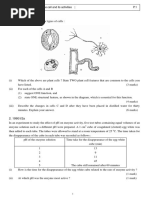 CE BIO LQ Section 1 PDF