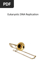 Eukaryotic Dna Replication 7 and 8