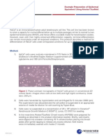 Example Preparation-HaCat Cells