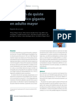 Protocolo Nivel de Conocimiento Sobre MPF en Las Pacientes en Puerperio de Los Servicios de Maternidad