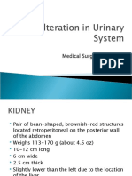 Alteration in Urinary System - ppt22222