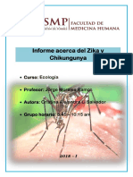 Informe