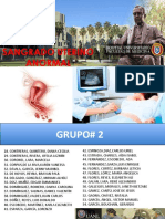 Sangrado Uterino Anormal Nueva Clasificacion FIGO 2011 Español