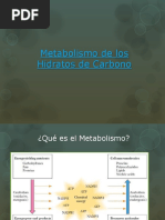 Metabolismo Hidratos de Carbono