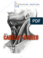 Cabeza y Cuello 2015 PDF