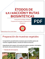 S2. Métodos de Extracción y Rutas Biosintéticas