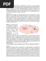 ADRENOLEUCODISTROFIA