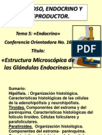 CO 16 Glandulas Endocrinas