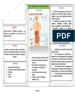 Aprendiendo La Digestión Humana