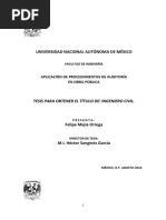 Aplicación de Procedimientos de Auditoria en Obra Pública PDF