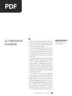 Las Organizaciones Emergentes