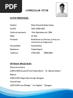 Curriculum Vitae Estuardo