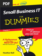 Small Bussines IT For Dummies PDF