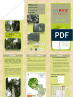 Triptico Inventario Forestal Nacional