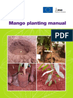 Mango Planting Manual