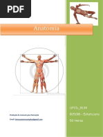 UFCD 9134 Anatomia Índice