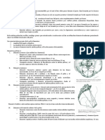 Anatomia Obstetrica