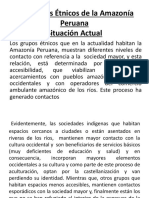 Los Grupos Étnicos de La Amazonía Peruana1