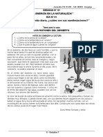 Fichas de Aplicación - 2°