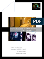 Rapport IRM PDF