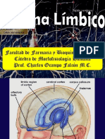 Sistema Límbico