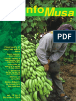 Infomusa La Revista Internacional Sobre Bananos y Plátanos 1031 PDF