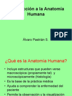 Introducción A La Anatomía Humana