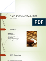 Sap SD Training - Day1