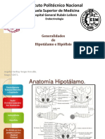 5.1 Anatomia de Hipotalamo