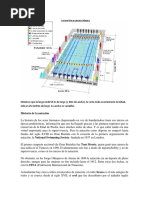 Natacion Medidas Historia