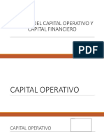 Analisis Del Capital Operativo y Capital Financiero