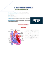 Cambio de Valvula Aortica