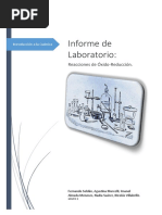 Trabajo Practico de Laboratorio II REDOX