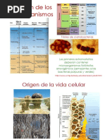 Microbiología PDF